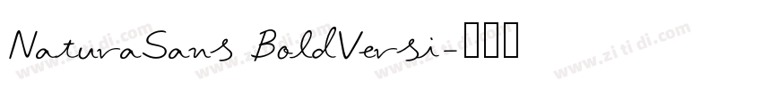 NaturaSans BoldVersi字体转换